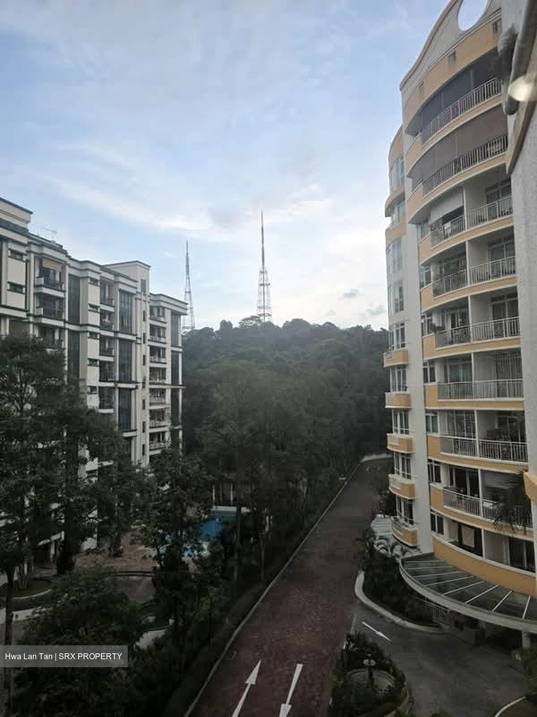 The Petals (D23), Condominium #583835721